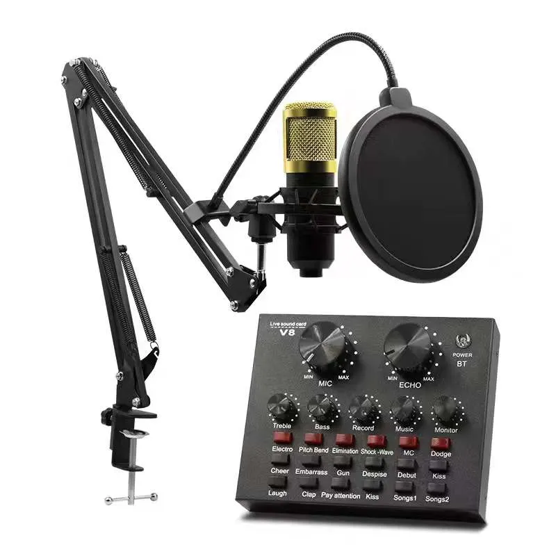 Professional Quality Studio Set-up (Model: BM800+V8)